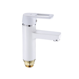 Chr-001 (NUT)